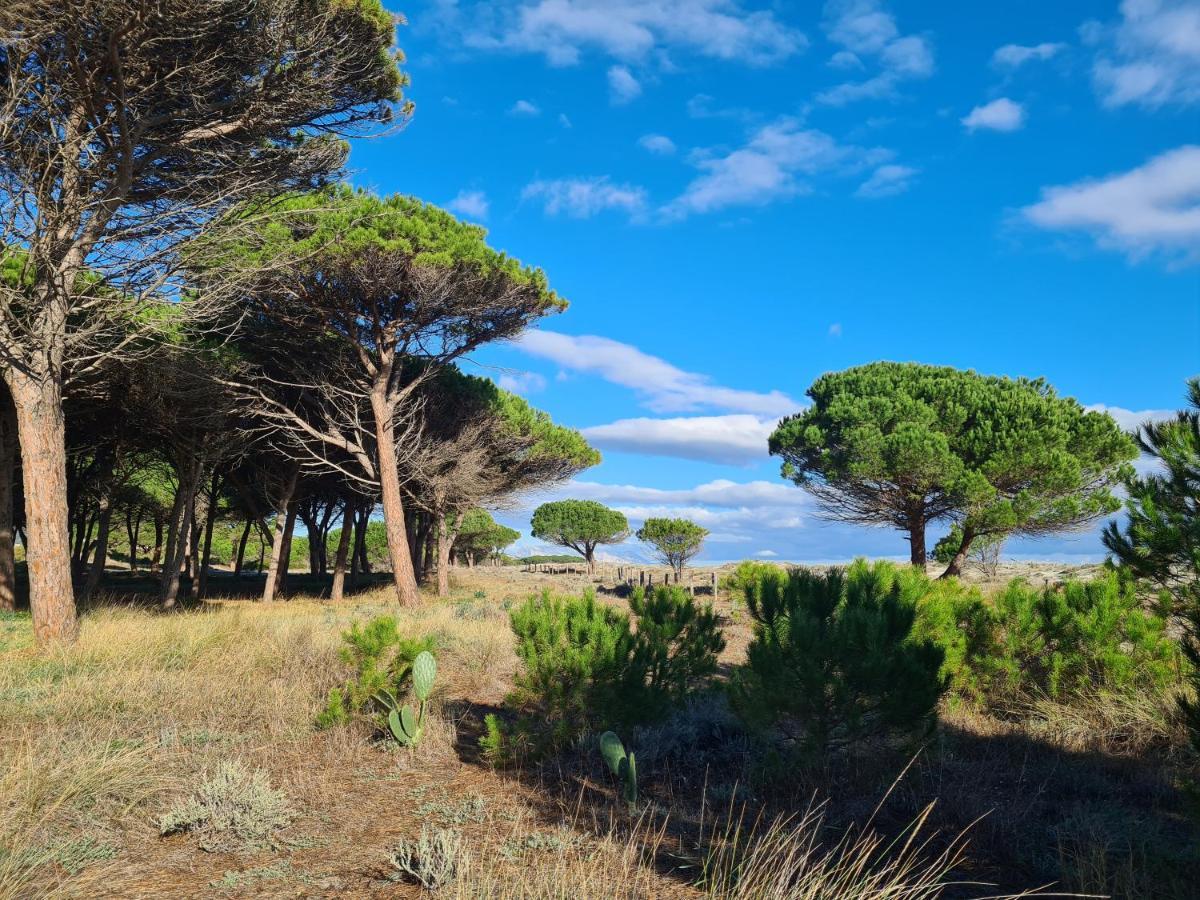 Azienda Agrituristica La Janna Di La Faj Budoni Eksteriør bilde